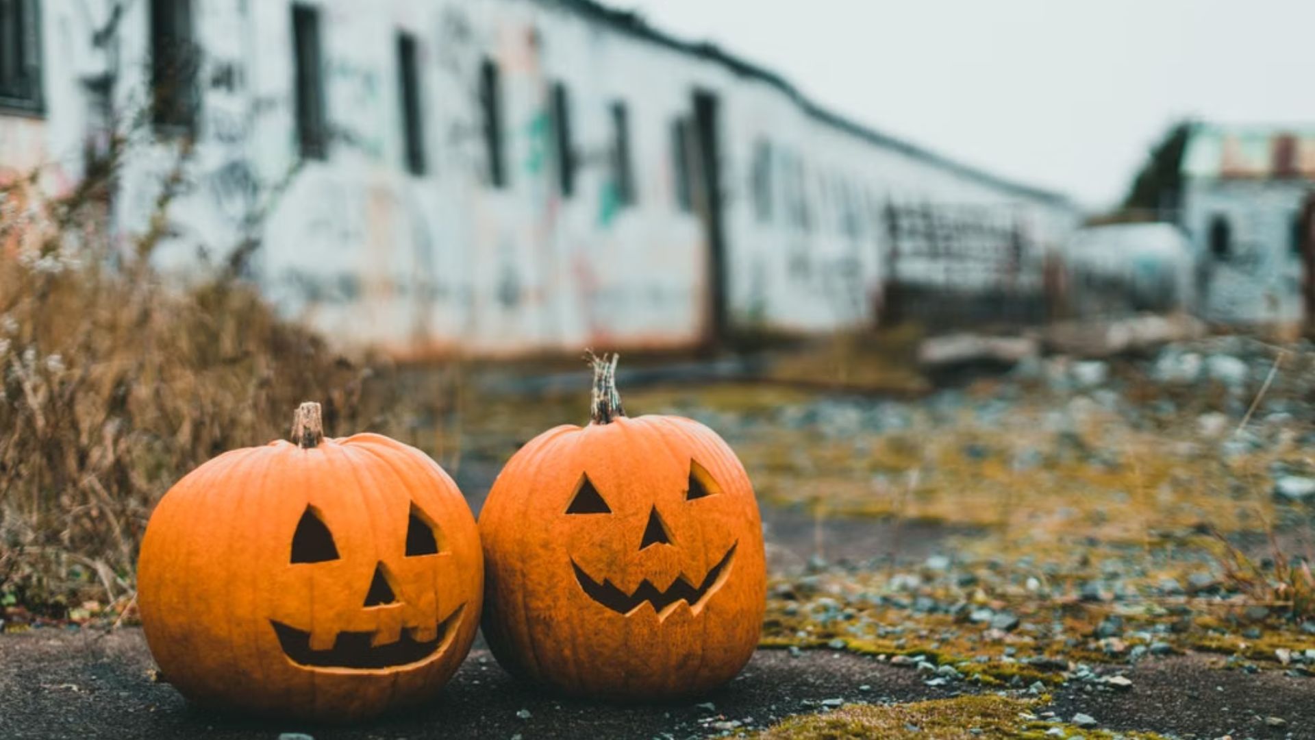 To halloween græskar i en forladt gård