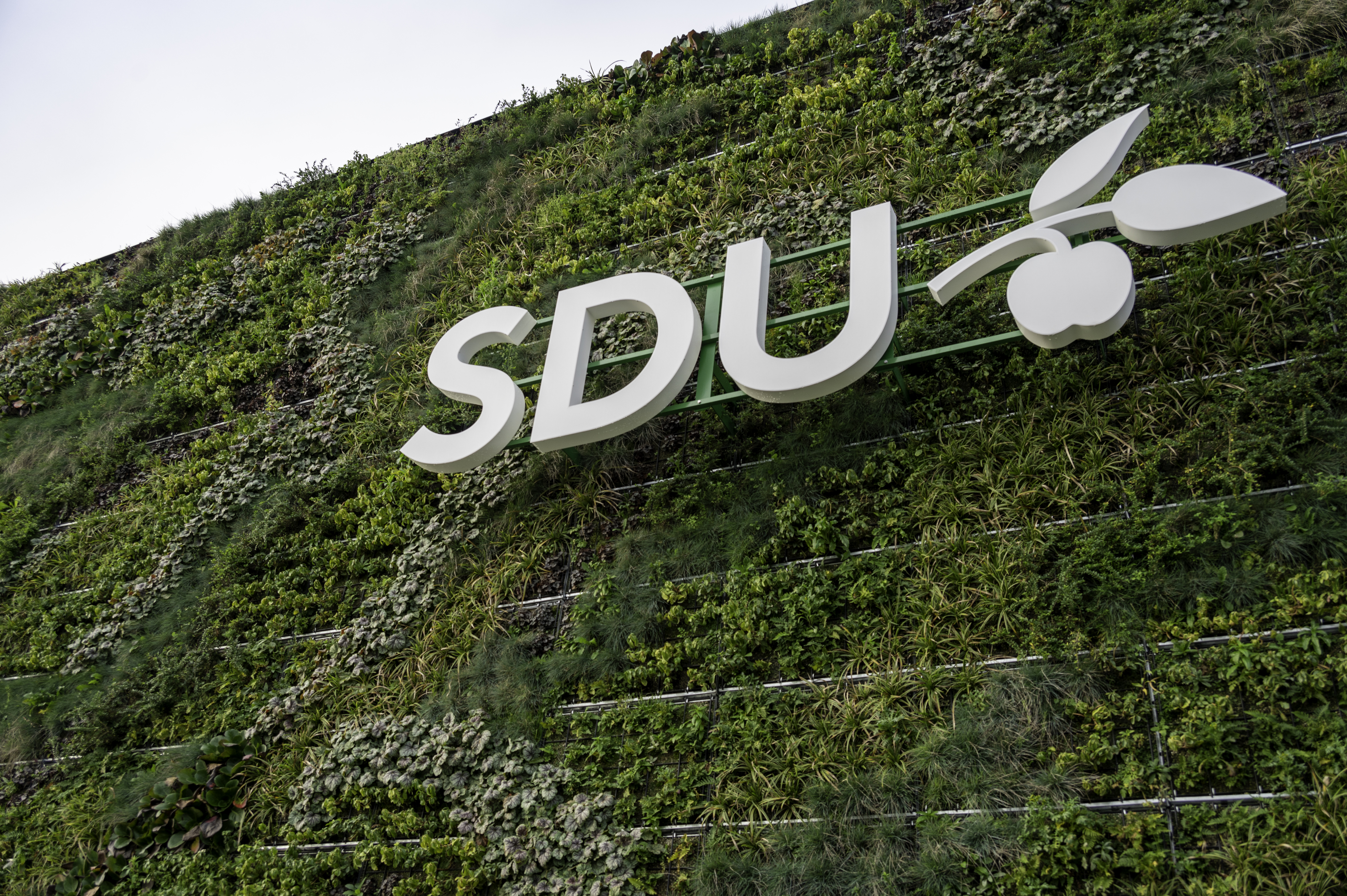 SDUs logo hængende på en grøn væg udenfor.