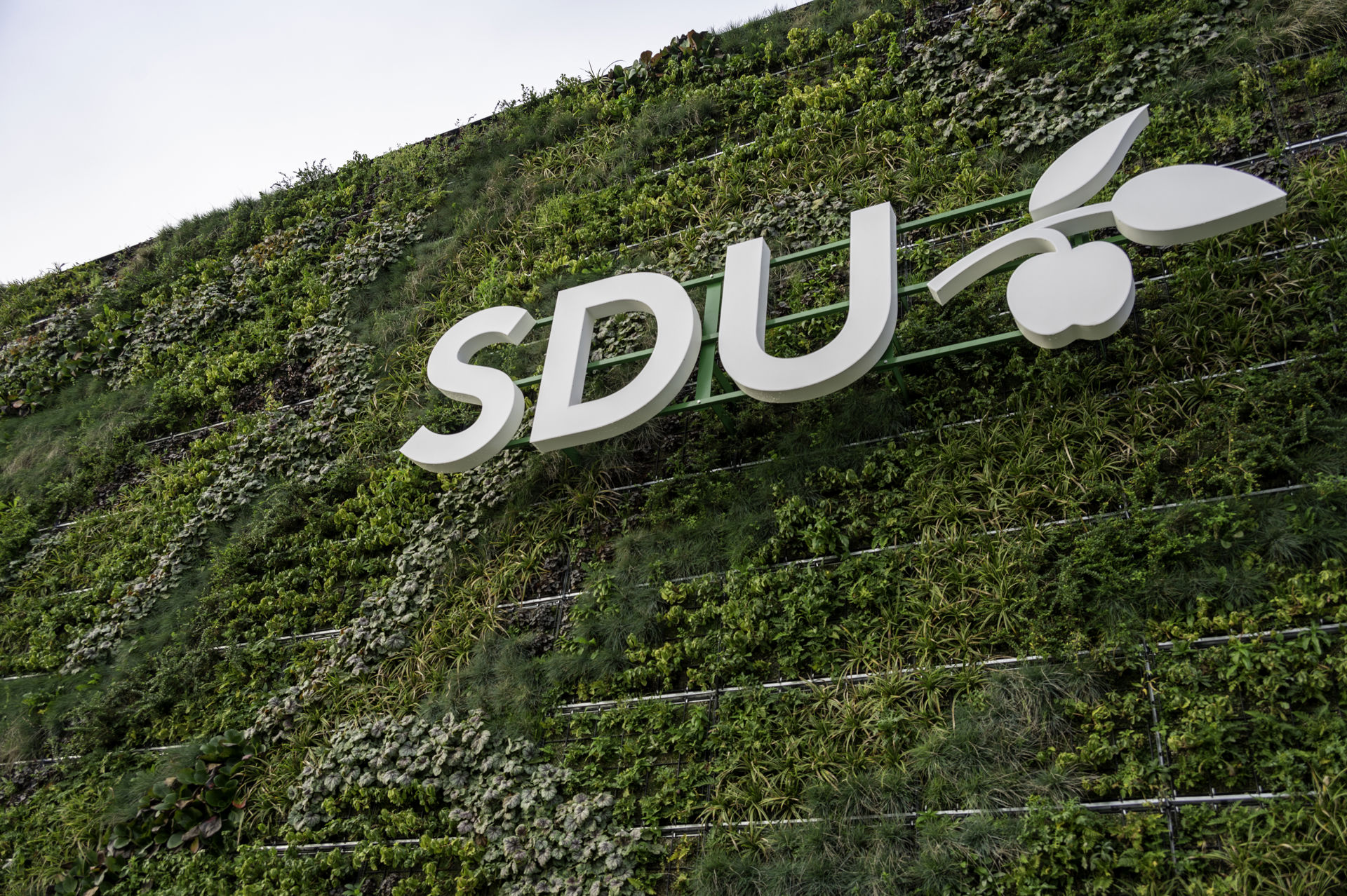 SDUs logo hængende på en grøn væg udenfor.