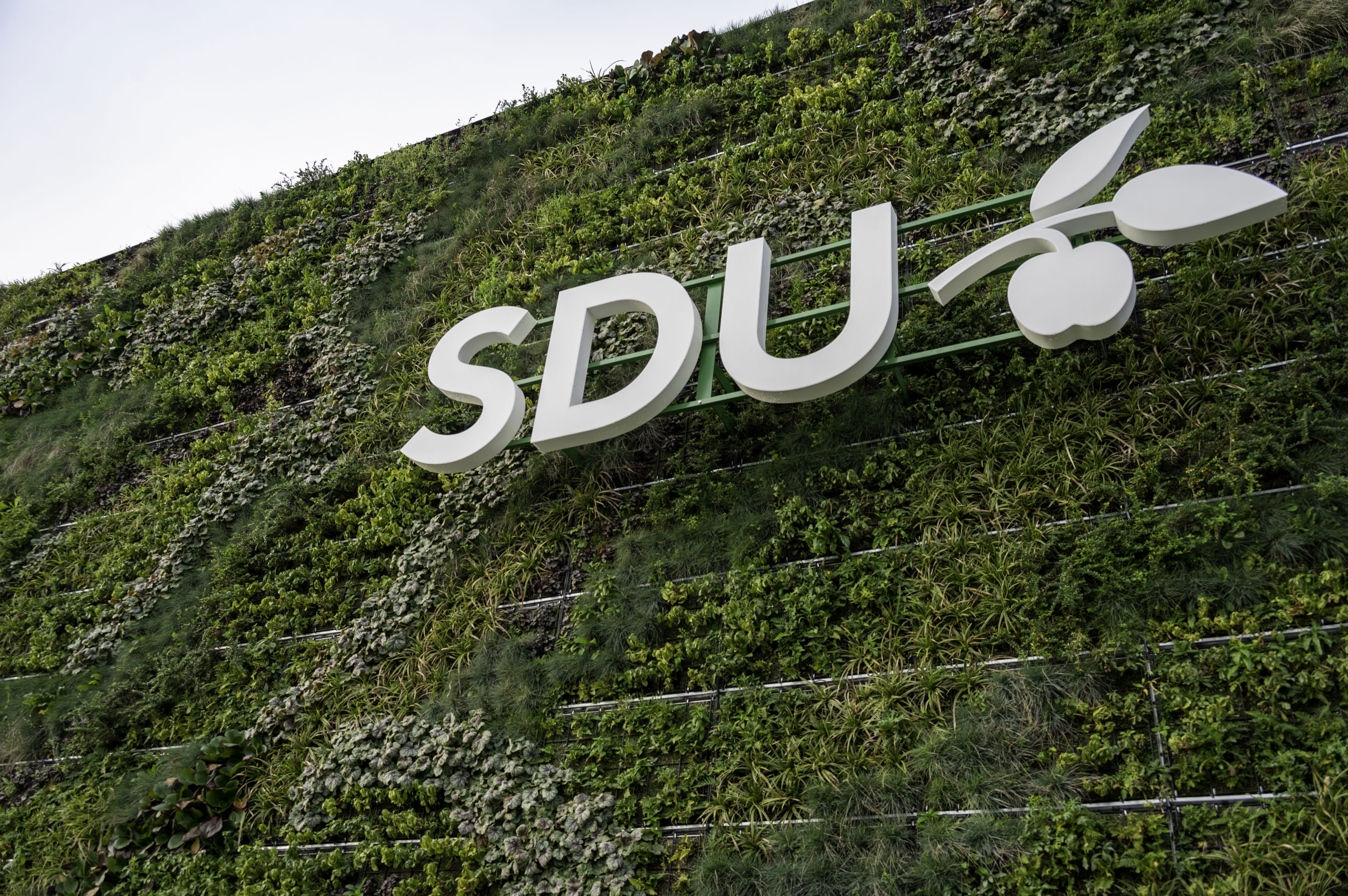 SDUs logo hængende på en grøn væg udenfor.